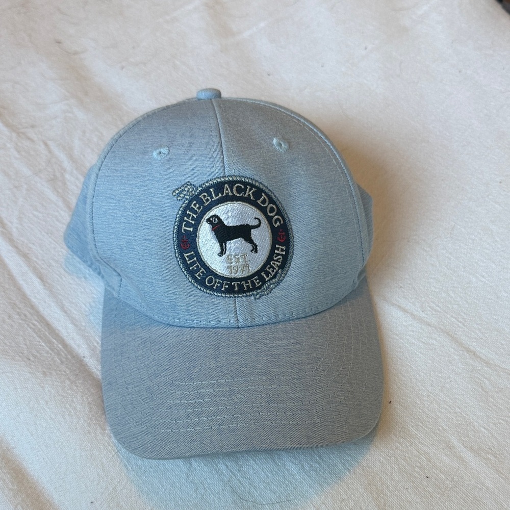 The Black Dog Sky Blue Baseball Cap